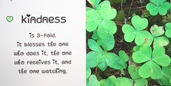 Seeing Kindness with your Heart Book